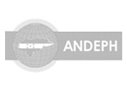 Logo_Andeph-Gris