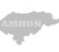 Logo_Amhon-Gris