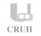 Logo_Cruh-Gris